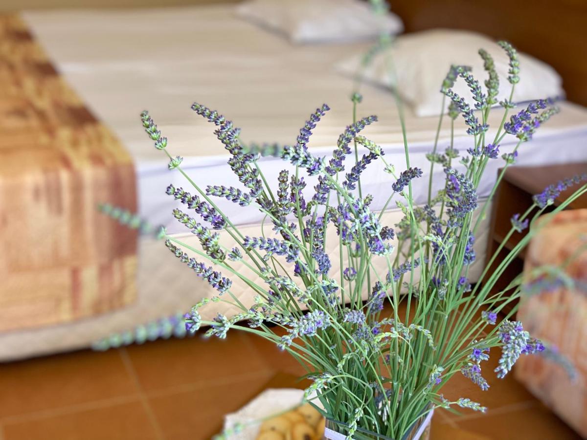 Hotel Plamena Palace พรีมอร์สโก ภายนอก รูปภาพ
